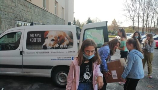 Karma dla kociaków zebrana przez wolontariuszy SP1